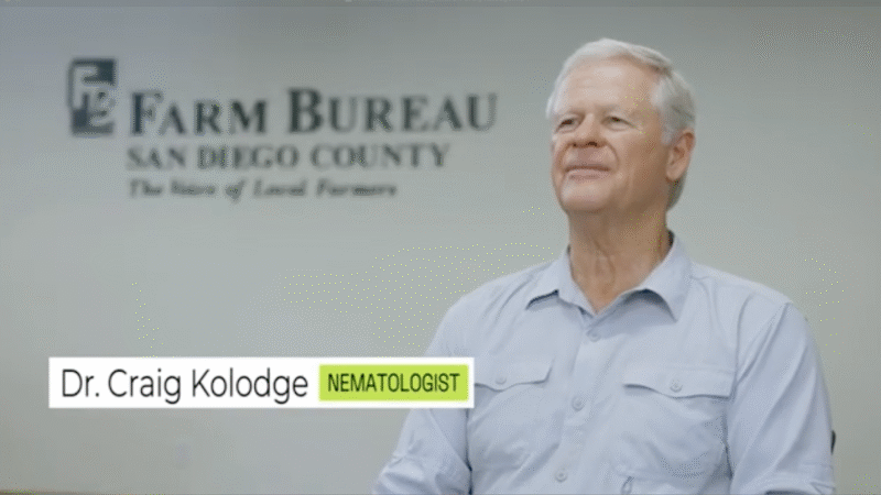 Dr. Craig Kolodge